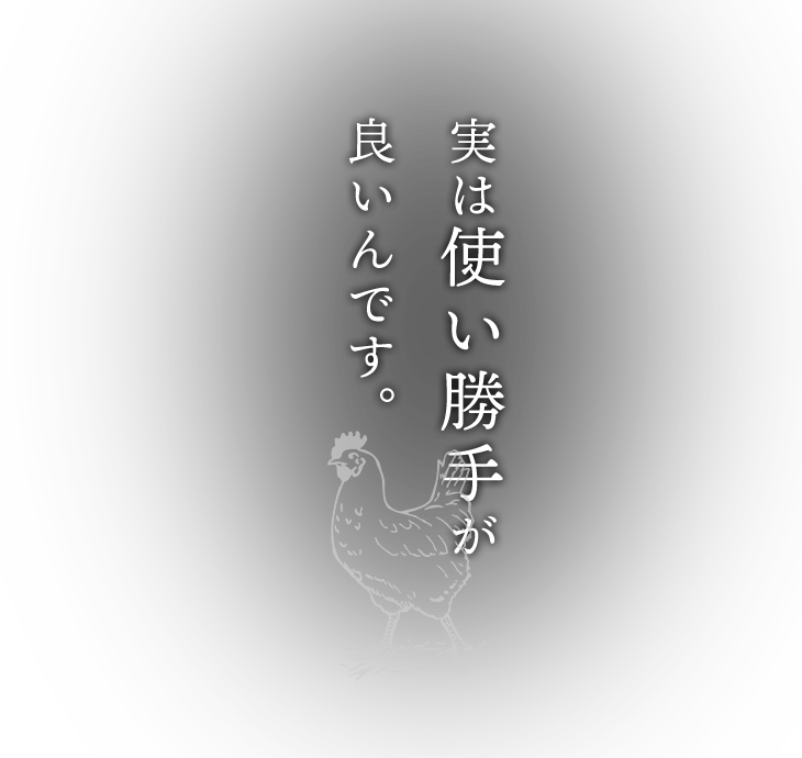 実は使い勝手が良いんです。